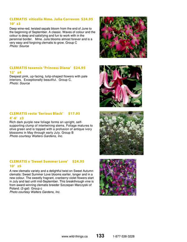 Wildthings Plant Farm Catalogue Page 133